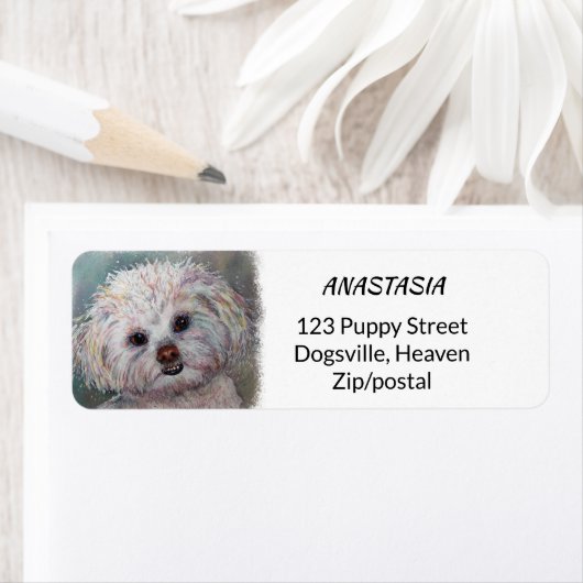 スイートホワイトマルチーズヨークシャーテリアミックス ラベル (インサイチュ)