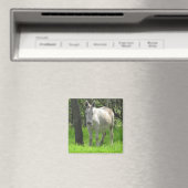 スイートホワイトロバbyツリー写真 マグネット (インサイチュ (食洗機))