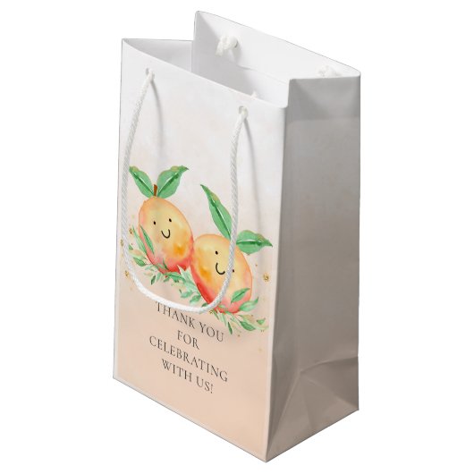 スイートリトルピーチスモール抱き枕 スモールペーパーバッグ (裏面アングル)