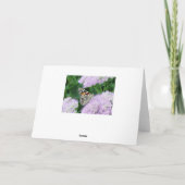 スイートレ絵を描ディ カード (裏面)