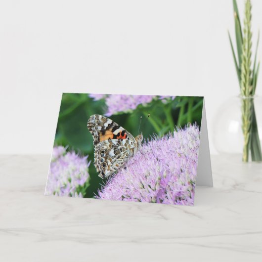 スイートレ絵を描ディ カード (正面)