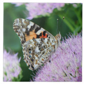 スイートレ絵を描ディ タイル (正面)