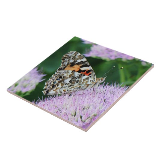 スイートレ絵を描ディ タイル (側面)