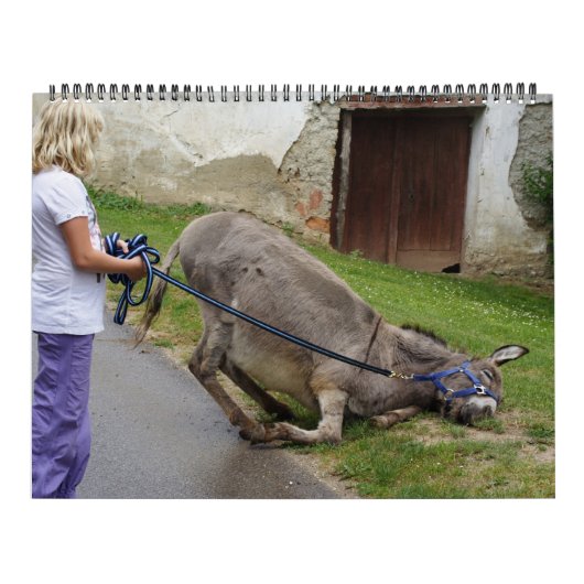 スイートロバ一年中 カレンダー (カバー)
