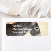 スイートロバ ラベル (インサイチュ)