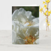 スイートワイルドホワイトローゼグリーティングカード カード (黄色い花)