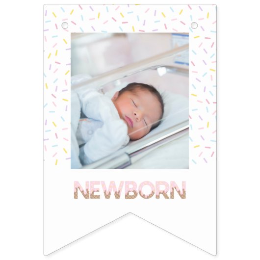 スイートワンアイスクリームファースト誕生日フォトバナー バンティングフラッグ (第2の旗)