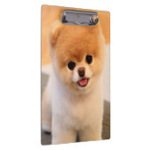 スイート魅力的ポメラニア犬 クリップボード (右)