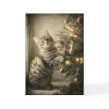スイート・クリスマス・キャット
