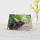 スイート スナグル チキンズ フォトグラフィー オーダーメイド カード (黄色い花)