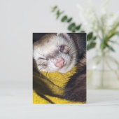 スイート・ドリームズ ポストカード (スタンド正面)