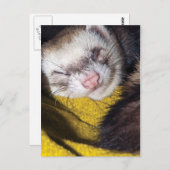 スイート・ドリームズ ポストカード (正面/裏面)