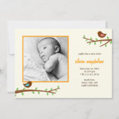 スイート·バーディズ·ベビー誕生発表 案内状 (正面)