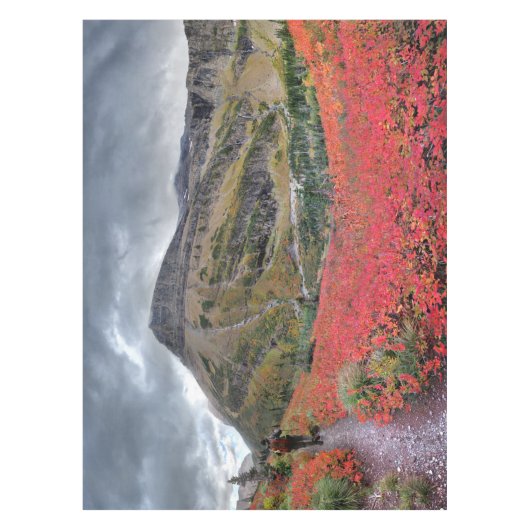 スウィフトカレント峠トレイル – 氷河の国立公園 テーブルクロス (正面)