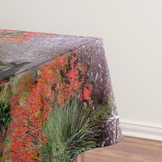 スウィフトカレント峠トレイル – 氷河の国立公園 テーブルクロス (インサイチュ)