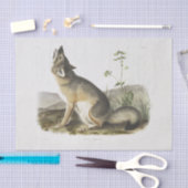 スウィフトキツネ。男性。(Vulpes velox)ウッドランドデコパージュ 薄葉紙 (クラフト)