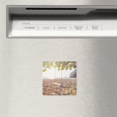 スウィングオンビーチアットサンセット マグネット (インサイチュ (食洗機))