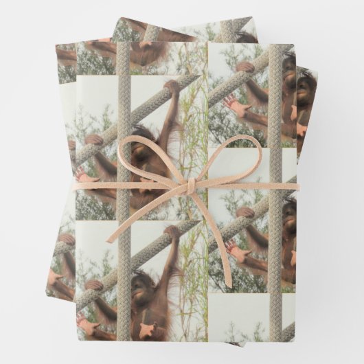 スウィングベビーオランウタンすべての行事 ラッピングペーパーシート (インサイチュ)