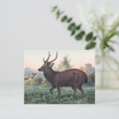 スウィンホーの鹿バイジョセフ・ウルフ ポストカード (スタンド正面)