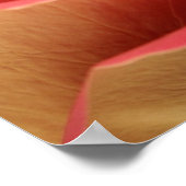 スウィートアートバラ ポスター (角)