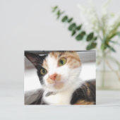 スウィートアート ポストカード (スタンド正面)