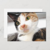 スウィートアート ポストカード (正面/裏面)