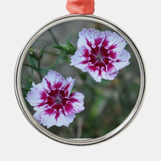 スウィートウィリアムズ メタルオーナメント (正面)
