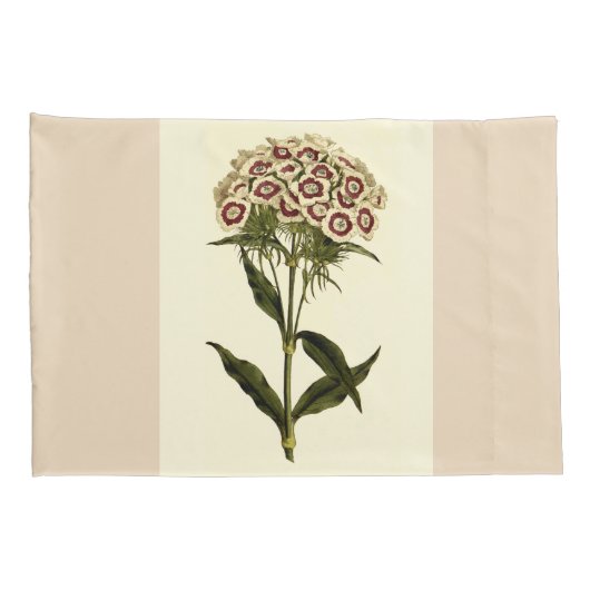 スウィートウィリアムフローラアートセットピローケース 枕カバー (裏面-右)