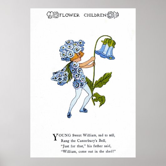 スウィートウィリアム ポスター (正面)