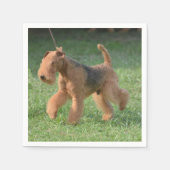 スウィートエアデールテリア スタンダードカクテルナプキン (正面)