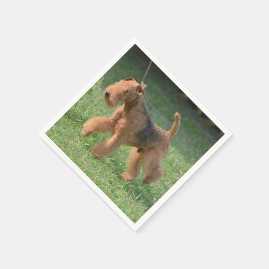 スウィートエアデールテリア スタンダードカクテルナプキン (角)