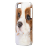 スウィートカバリエールキングチャールズスパニエル犬iphone 5gケース Case-Mate iPhoneケース (裏面左)