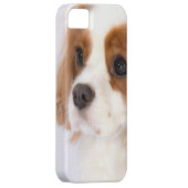 スウィートカバリエールキングチャールズスパニエル犬iphone 5gケース Case-Mate iPhoneケース (裏面/右)