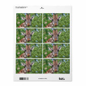 スウィートカリオスキリン ラベル (フルシート)