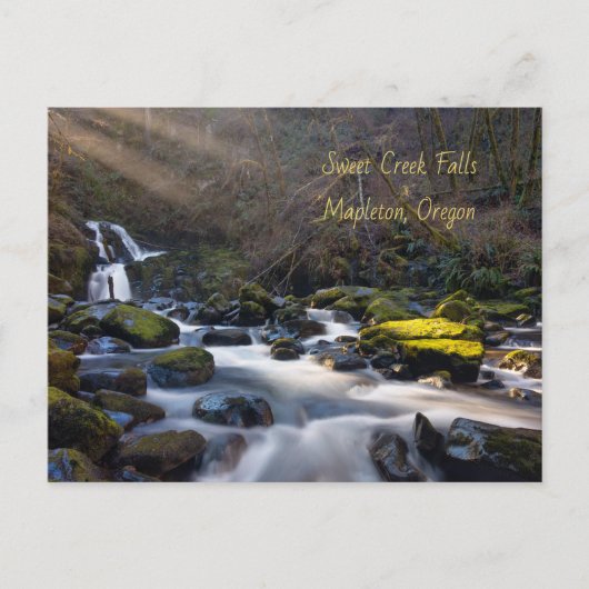 スウィートクリーク秋オレゴン葉書 ポストカード (正面)