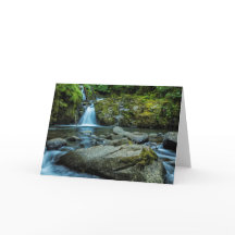 スウィートクリーク秋