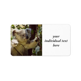 スウィートコアラベビー ラベル