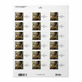 スウィートコアラベビー ラベル (フルシート)