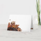 スウィートサンDAY！ :)  5 X 7 "あなたのことを想って" カード (裏面)