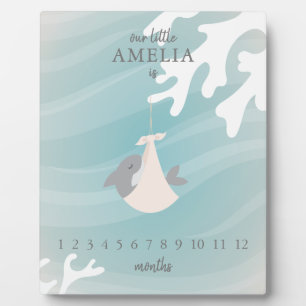 スウィートシャークベビーマイルストーン フォトプラーク