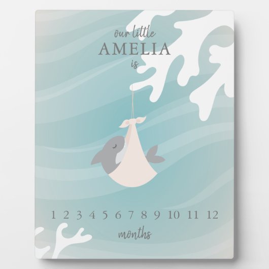 スウィートシャークベビーマイルストーン フォトプラーク (正面)