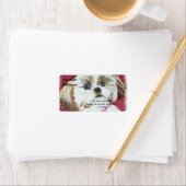 スウィートシーズー（犬）TZUアドレス ラベル (インサイチュ)