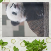 スウィートジャイアントパンダベビー キッチンタオル (折り畳み)