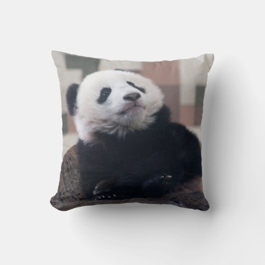 スウィートジャイアントパンダベビー クッション (正面)