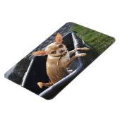 スウィートチャーリーチワワ マグネット (左側)