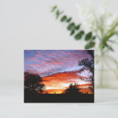 スウィートドリームコディ ポストカード (スタンド正面)