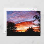 スウィートドリームコディ ポストカード (正面/裏面)