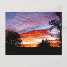 スウィートドリームコディ ポストカード