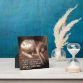 スウィートドリームズポープリント フォトプラーク (インサイチュ)