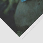 スウィートドリームズ – デコページティッシュペーパー 薄葉紙 (詳細)